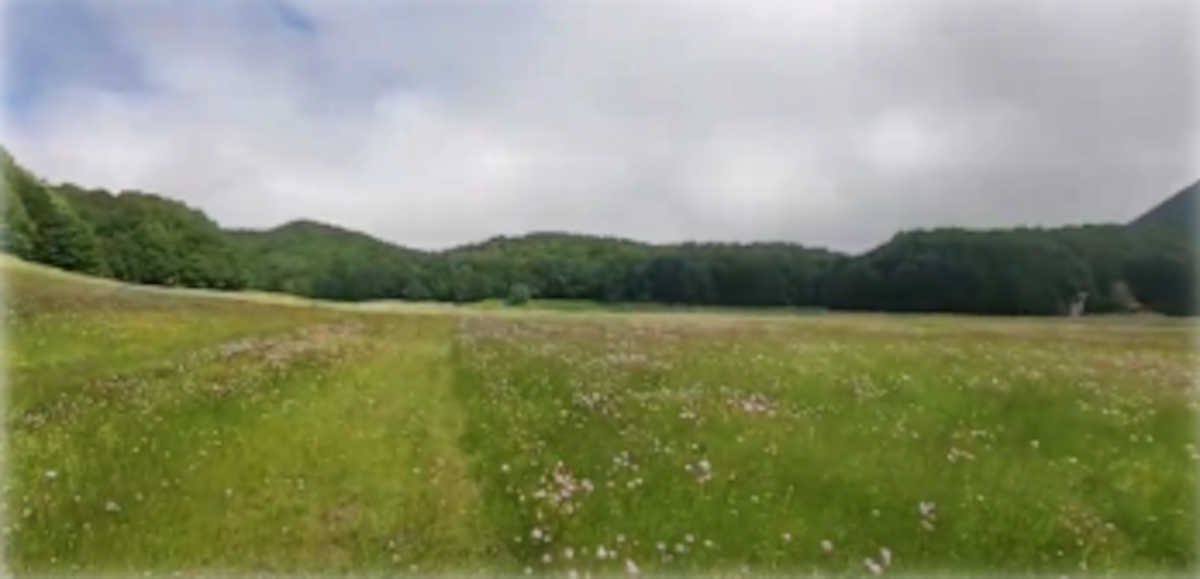 Parco Regionale del Partenio