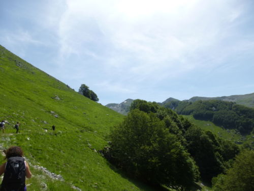 2018 giugno 3 - Cima 2007 - foto Giovanna Canzanella P1120244