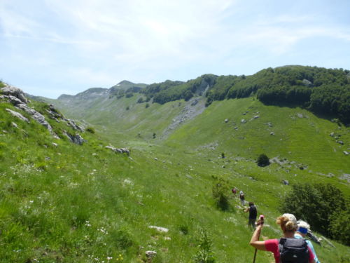 2018 giugno 3 - Cima 2007 - foto Giovanna Canzanella P1120246