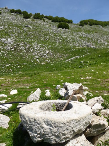 2018 giugno 3 - Cima 2007 - foto Giovanna Canzanella