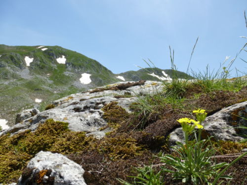 2018 giugno 3 - Cima 2007 - foto Giovanna Canzanella P1120257