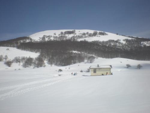 20150301CoppoOrso (12)