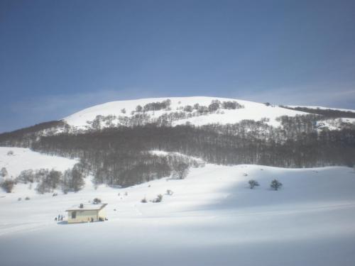 20150301CoppoOrso (14)