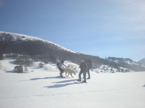 20150301CoppoOrso (2)