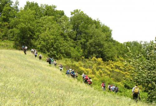 20150614MonteverdeSannio (10) (1)