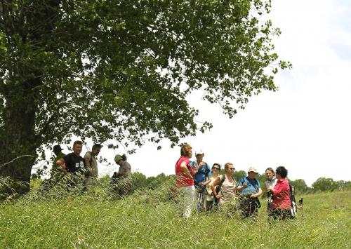 20150614MonteverdeSannio (7)
