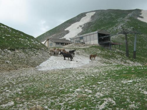 Monte Miletto maggio 2018