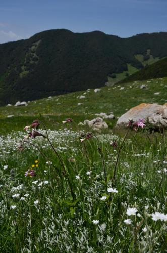 20180603Cima2007 (10)