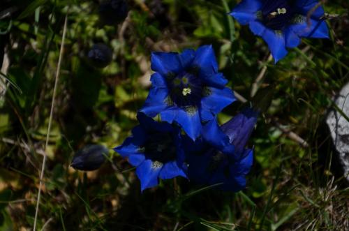 20180603Cima2007 (12)