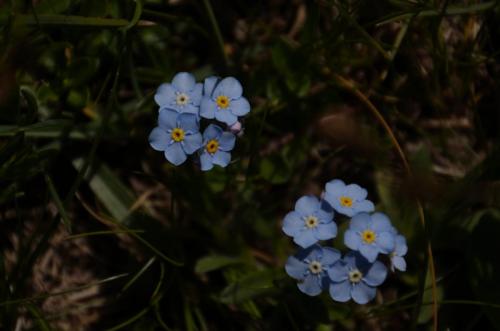 20180603Cima2007 (14)