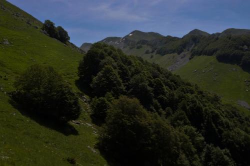 20180603Cima2007 (5)