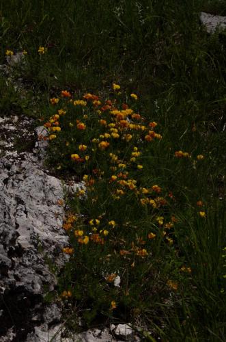 20180603Cima2007 (6)