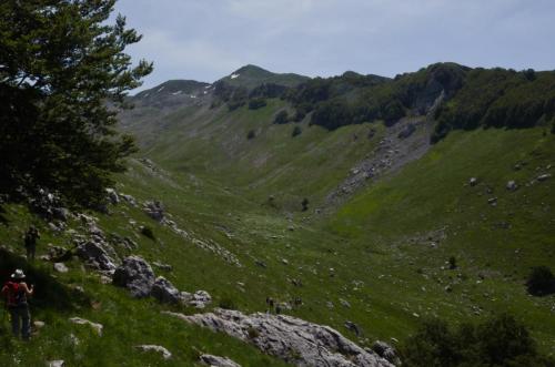 20180603Cima2007 (7)