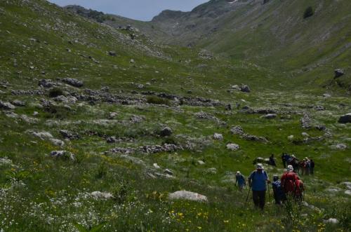 20180603Cima2007 (9)