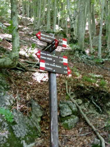 20180610MonteTarinoB (13)