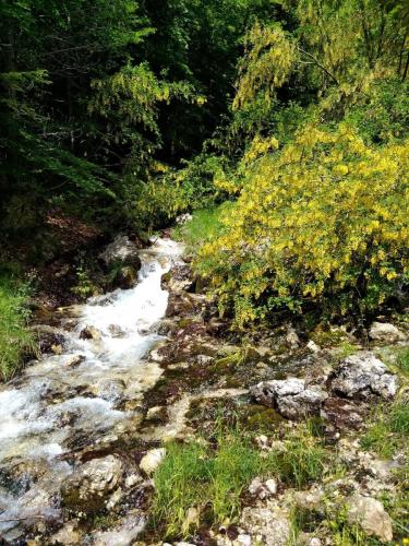 20180610MonteTarinoB (4)