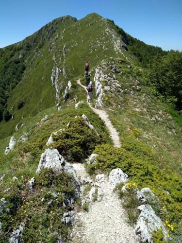 20180610MonteTarinoB (6)
