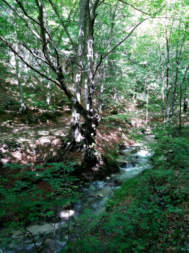 20180610MonteTarino (9)