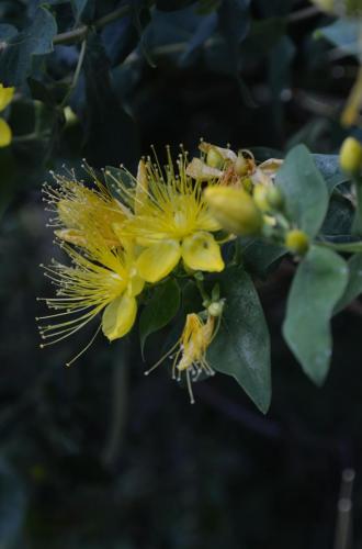 20180617Agerola (1)