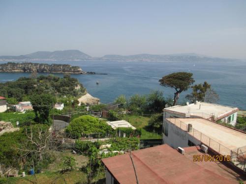 2018422 MonteProcida (1)