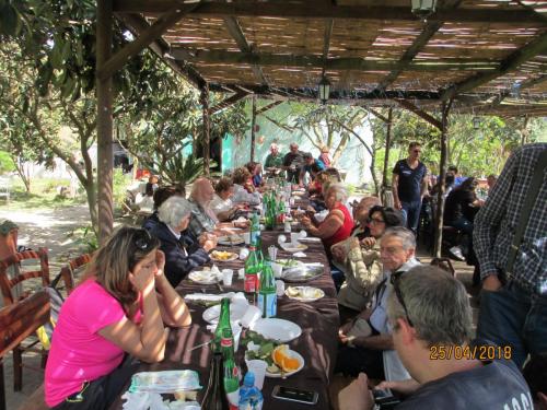 2018422 MonteProcida (10)
