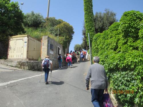 2018422 MonteProcida (2)