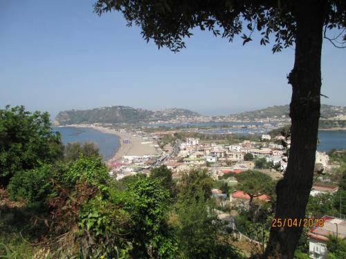 2018422 MonteProcida (3)
