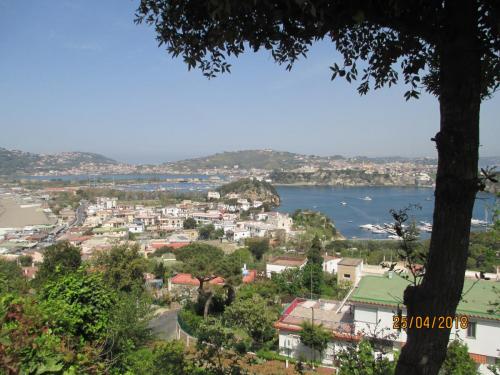 2018422 MonteProcida (4)