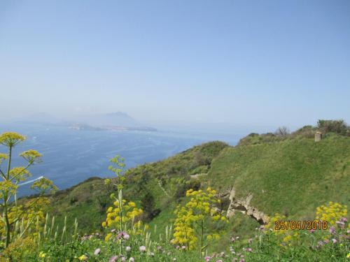 2018422 MonteProcida (5)