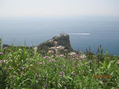2018422 MonteProcida (6)